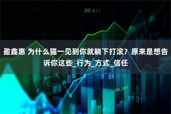 盈鑫惠 为什么猫一见到你就躺下打滚？原来是想告诉你这些_行为_方式_信任
