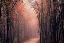 股票推荐平台排名:手机股票怎么开户啊-下调！港交所宣布！优化按金抵押品安排